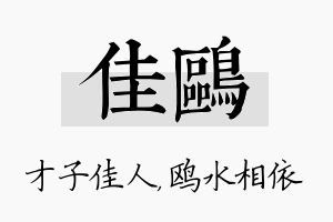 佳鸥名字的寓意及含义