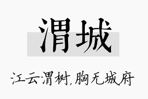 渭城名字的寓意及含义