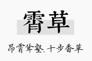 霄草名字的寓意及含义