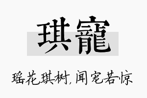 琪宠名字的寓意及含义