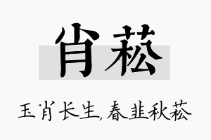 肖菘名字的寓意及含义