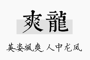 爽龙名字的寓意及含义