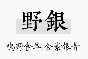 野银名字的寓意及含义