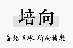 培向名字的寓意及含义