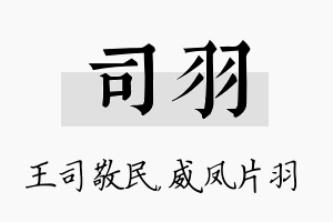 司羽名字的寓意及含义