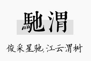 驰渭名字的寓意及含义