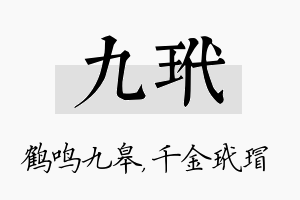 九玳名字的寓意及含义