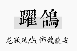 跃鸽名字的寓意及含义