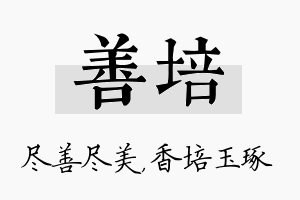 善培名字的寓意及含义