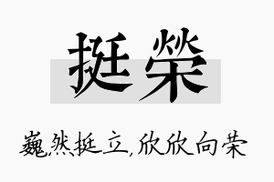 挺荣名字的寓意及含义