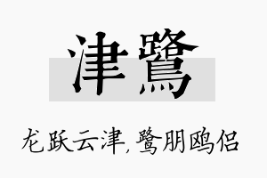 津鹭名字的寓意及含义