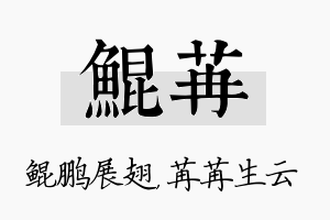 鲲苒名字的寓意及含义