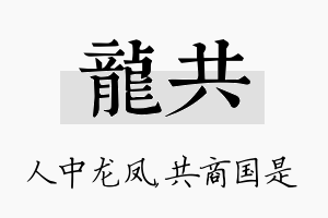 龙共名字的寓意及含义