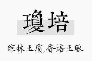 琼培名字的寓意及含义