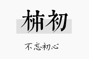 柿初名字的寓意及含义