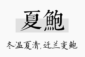 夏鲍名字的寓意及含义