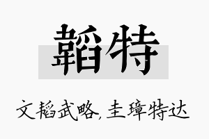 韬特名字的寓意及含义