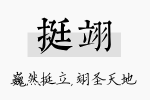 挺翊名字的寓意及含义