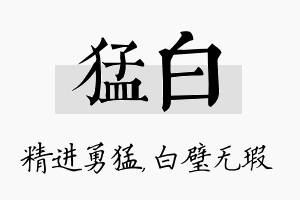 猛白名字的寓意及含义