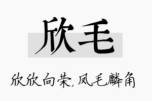 欣毛名字的寓意及含义