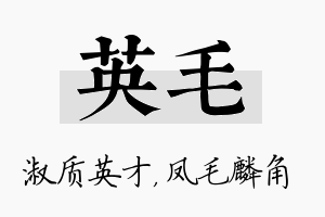 英毛名字的寓意及含义