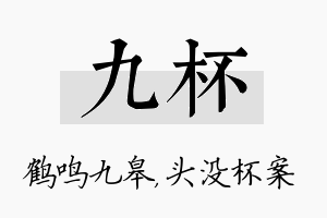 九杯名字的寓意及含义