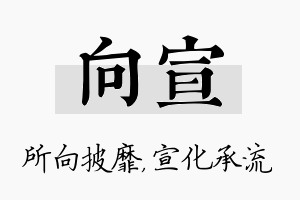 向宣名字的寓意及含义