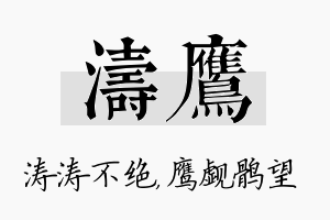 涛鹰名字的寓意及含义