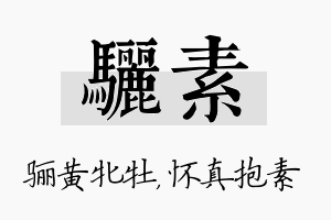 骊素名字的寓意及含义