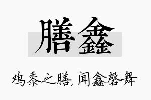 膳鑫名字的寓意及含义