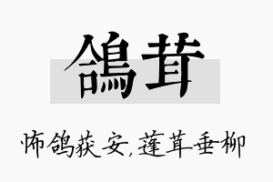 鸽茸名字的寓意及含义