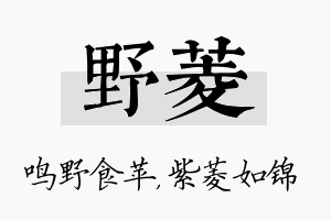 野菱名字的寓意及含义