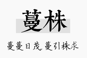 蔓株名字的寓意及含义