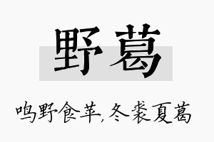 野葛名字的寓意及含义