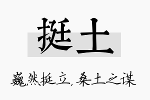 挺土名字的寓意及含义