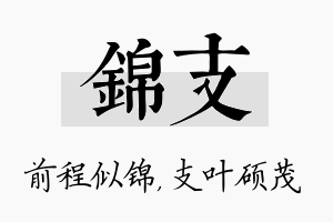 锦支名字的寓意及含义