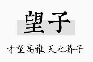 望子名字的寓意及含义