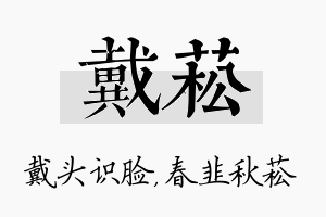 戴菘名字的寓意及含义