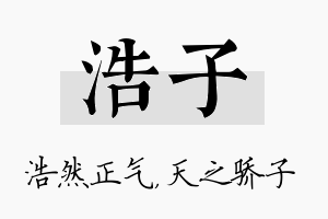 浩子名字的寓意及含义