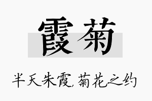 霞菊名字的寓意及含义