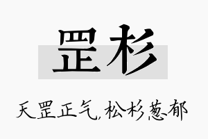 罡杉名字的寓意及含义