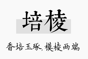 培棱名字的寓意及含义