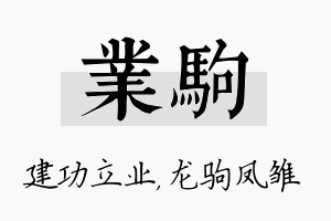 业驹名字的寓意及含义