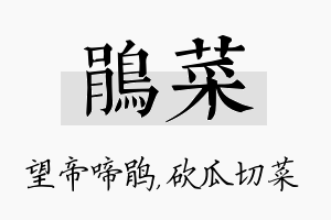 鹃菜名字的寓意及含义