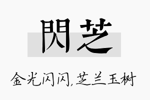 闪芝名字的寓意及含义