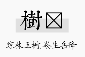 树崧名字的寓意及含义