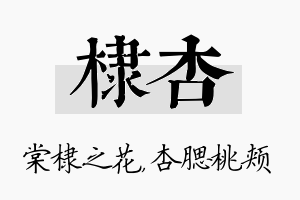 棣杏名字的寓意及含义