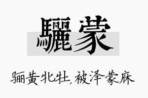 骊蒙名字的寓意及含义