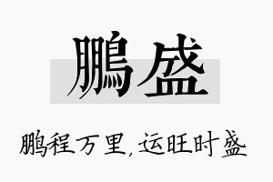 鹏盛名字的寓意及含义