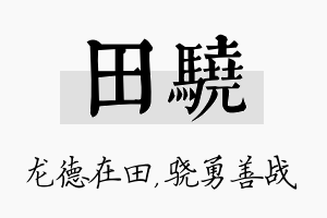 田骁名字的寓意及含义